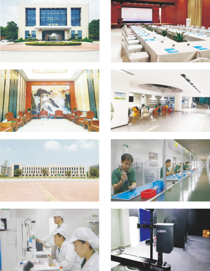 QUEENDOM FACTORY (1).png